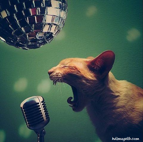 El karaoke lo inventó en Madrid un señor de Toledo.