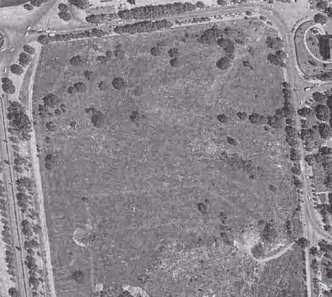 Vista aérea de la parcela reservada para el Botánico, tal como estaba en 1975. Hasta 1990 su aspecto no cambió gran cosa, por lo que fue utilizada alguna vez para festejos universitarios o mítines políticos.