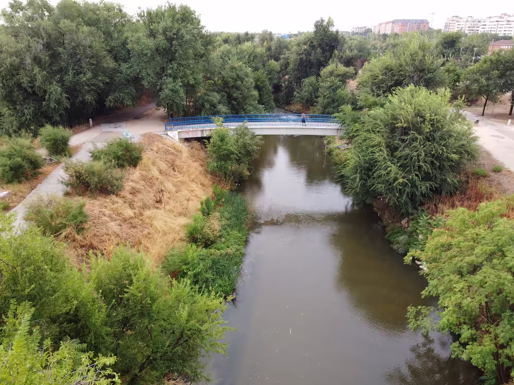parque lineal manzanares tramo 2 foto 01